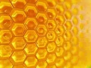 Fragment of Honeycomb