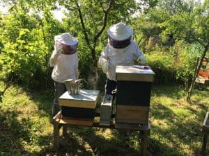 Beekeepers