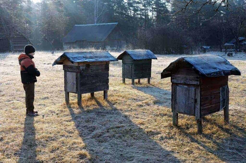 Child with beehives