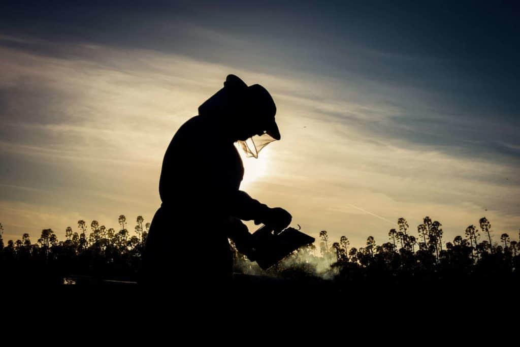 Beekeeper at dusk