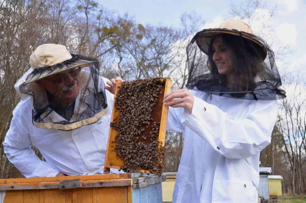 Beekeeping