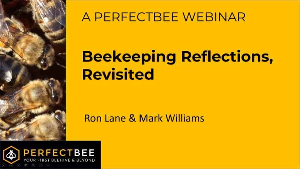 Beekeeping Reflections_Revisited