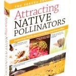 Attracting Native Pollinators