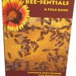 Bee-sentials: A Field Guide