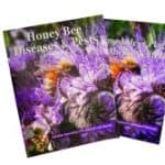 Honey Bee Diseases & Pests – Spanish